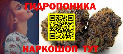 метамфетамин Камышлов